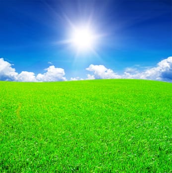Field of grass and blue sky