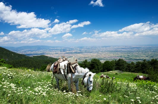 Mountain landscape at the Greece