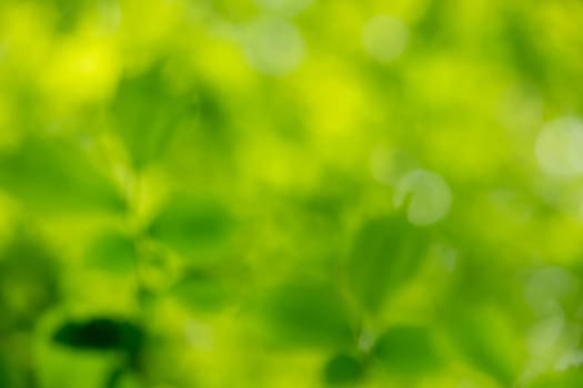 colorful background in green colors