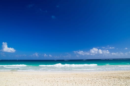 beautiful beach and tropical sea