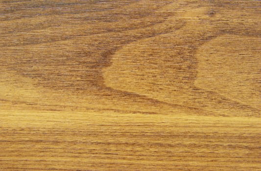 Texture of  wood to serve as background