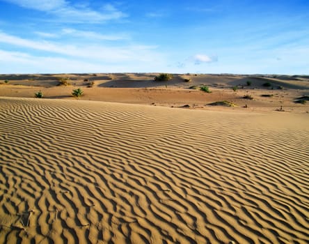 Desert landscape with blue sky