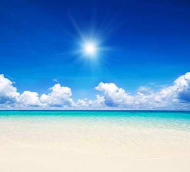 beautiful beach and tropical sea