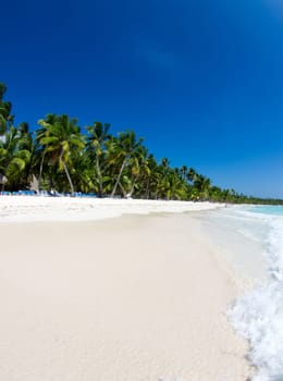 tropical sea under the blue sky