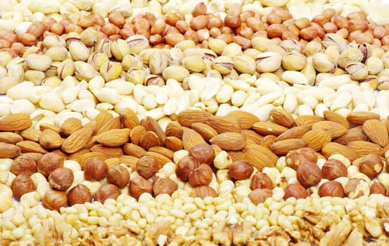 various nuts on a background