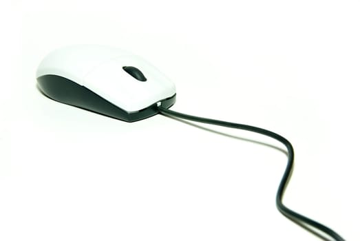 computer mouse isolated on white background