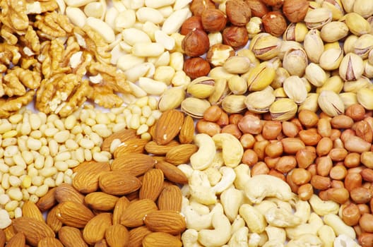 nuts collection isolated on background