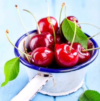 freshly harvested cherries