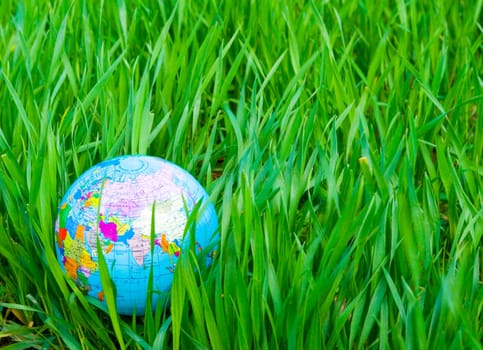 globe is placed on green grass