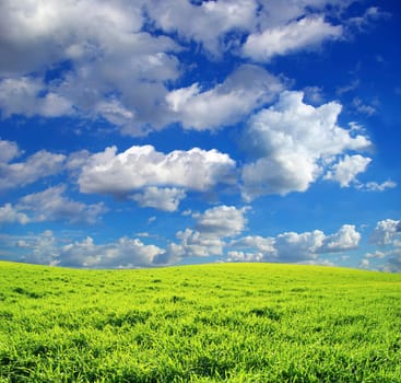 field on a background of the blue sky