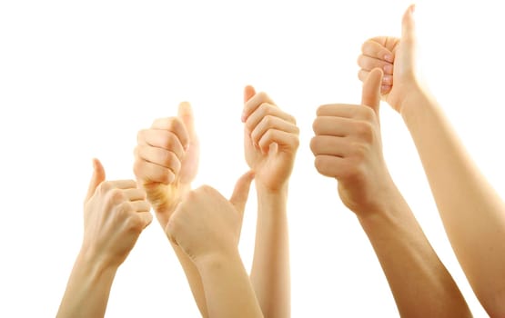 Many hand lifted up on white background