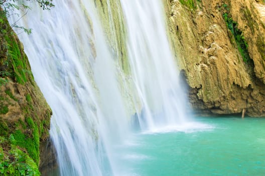 waterfall in deep green forest