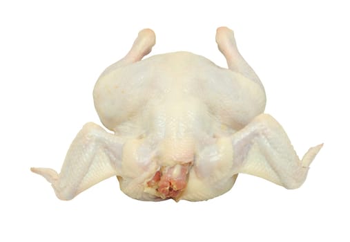 raw chicken isolated on white background