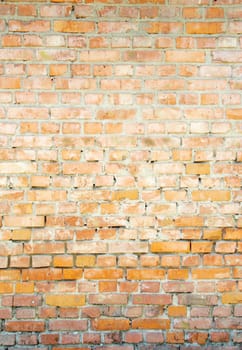 Red brick wall. Brick background