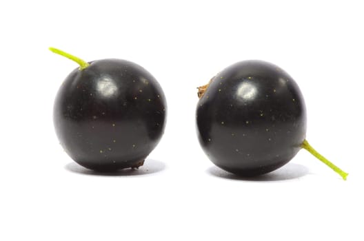 black currant fruits isolated on white background