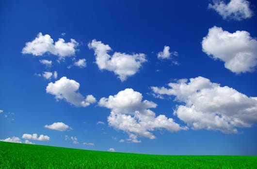 field on a background of the blue sky