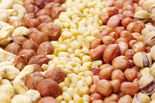 various nuts on a background