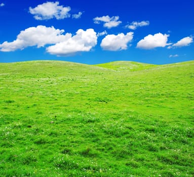 green field and blue sky