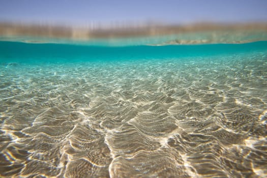 Tranquil underwater scene with copy space