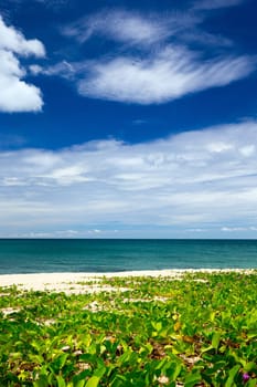 Blue sea and blue sky