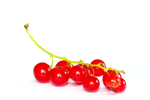 red currant isolated on a white background