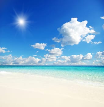 beautiful beach and tropical sea
