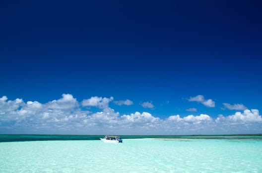 Caribbean clear beach and tropical sea