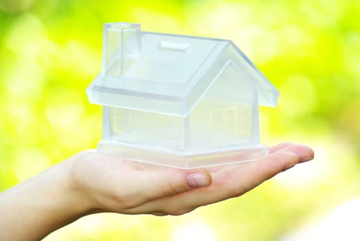 The house in human hand