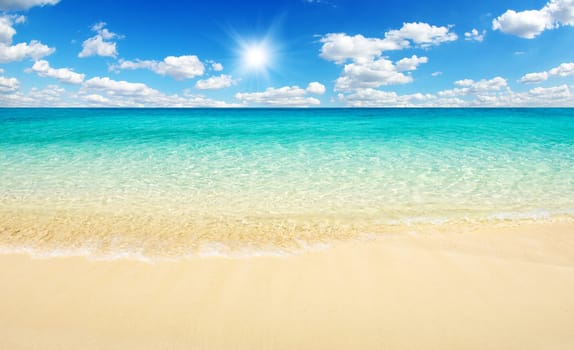 beautiful beach and tropical sea