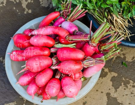Radish in fresh market