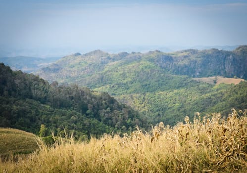 Green mountain landscape