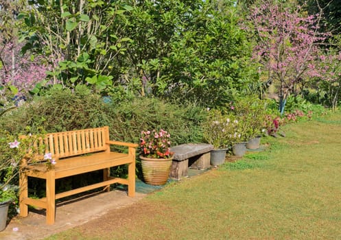 Garden scene with bench