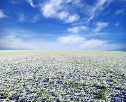 winter field and clouds in sky