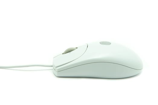computer mouse isolated on white background