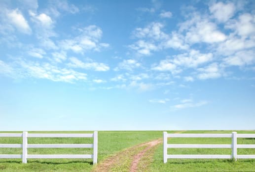 white fence on green grass with blue sky