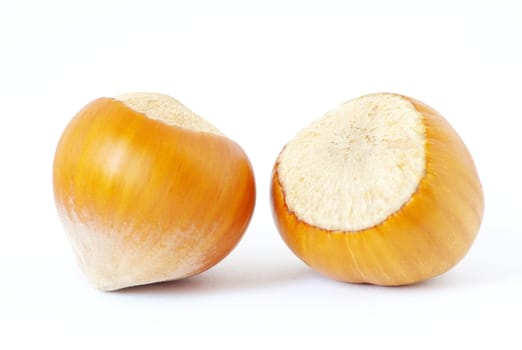 hazelnuts isolated on a white background