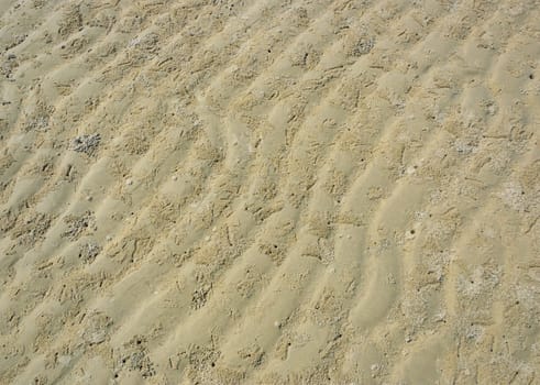 Beach sand ripple