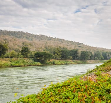 Tropical mountain along the river