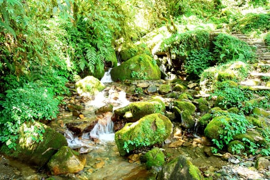 Water stream movement on the stone background, Nepal Himalayan forest .