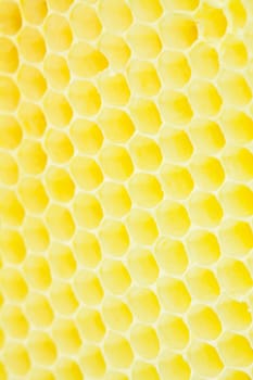 Honeycomb - cloe up texture