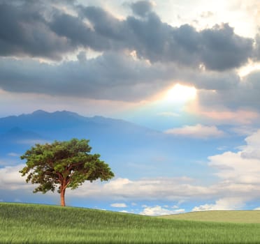 Image of nice landscape