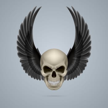 Evil looking ivory skull with two crow wings up.