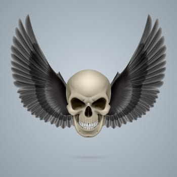 Evil looking ivory coloured skull with two wings.
