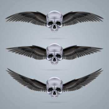 Three metal chrome skulls with two crow wings and no jaw bone each.