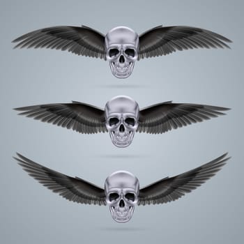 Three metal chrome skulls with two crow wings each.
