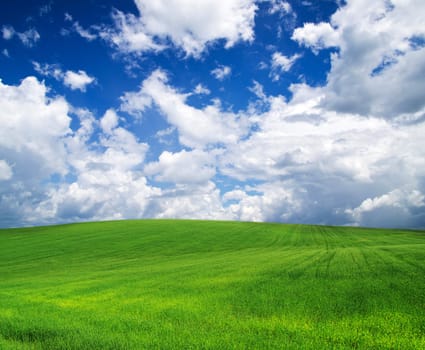green field and blue sky