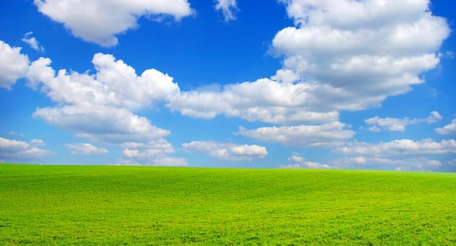 field on a background of the blue sky