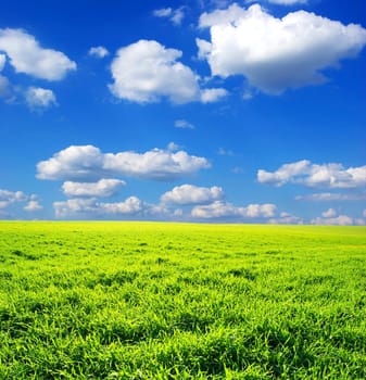 field on a background of the blue sky
