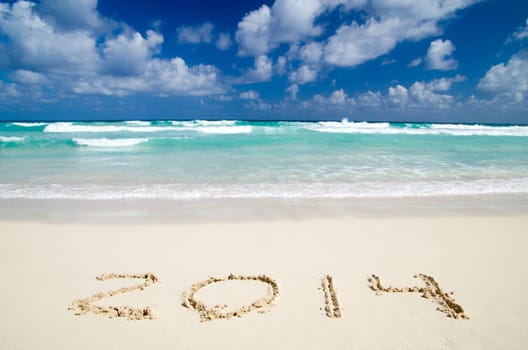 beach the ocean