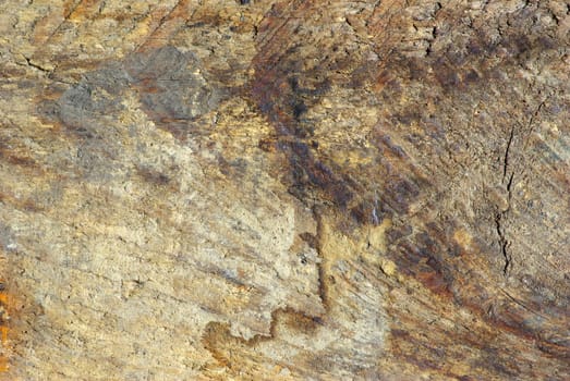 the brown wood texture with natural patterns